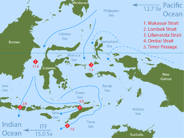 Indonesian Throughflow: River in the ocean that affects Indian Monsoon rainfall