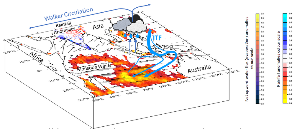 Fig 2. Schematic showing the observed summer monsoon rainfall and net upward water flux  (Evaporation) anomalies during the 2005-2015 decade. Vectors are mean winds speed during the summer monsoon season.