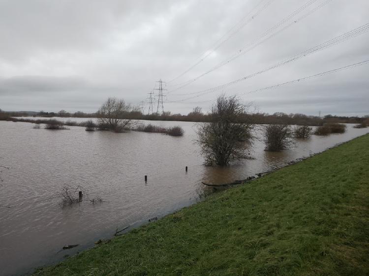 एल निनो आणि भारतीय मान्सून : दुष्काळासोबत अतिवृष्टीची सावली