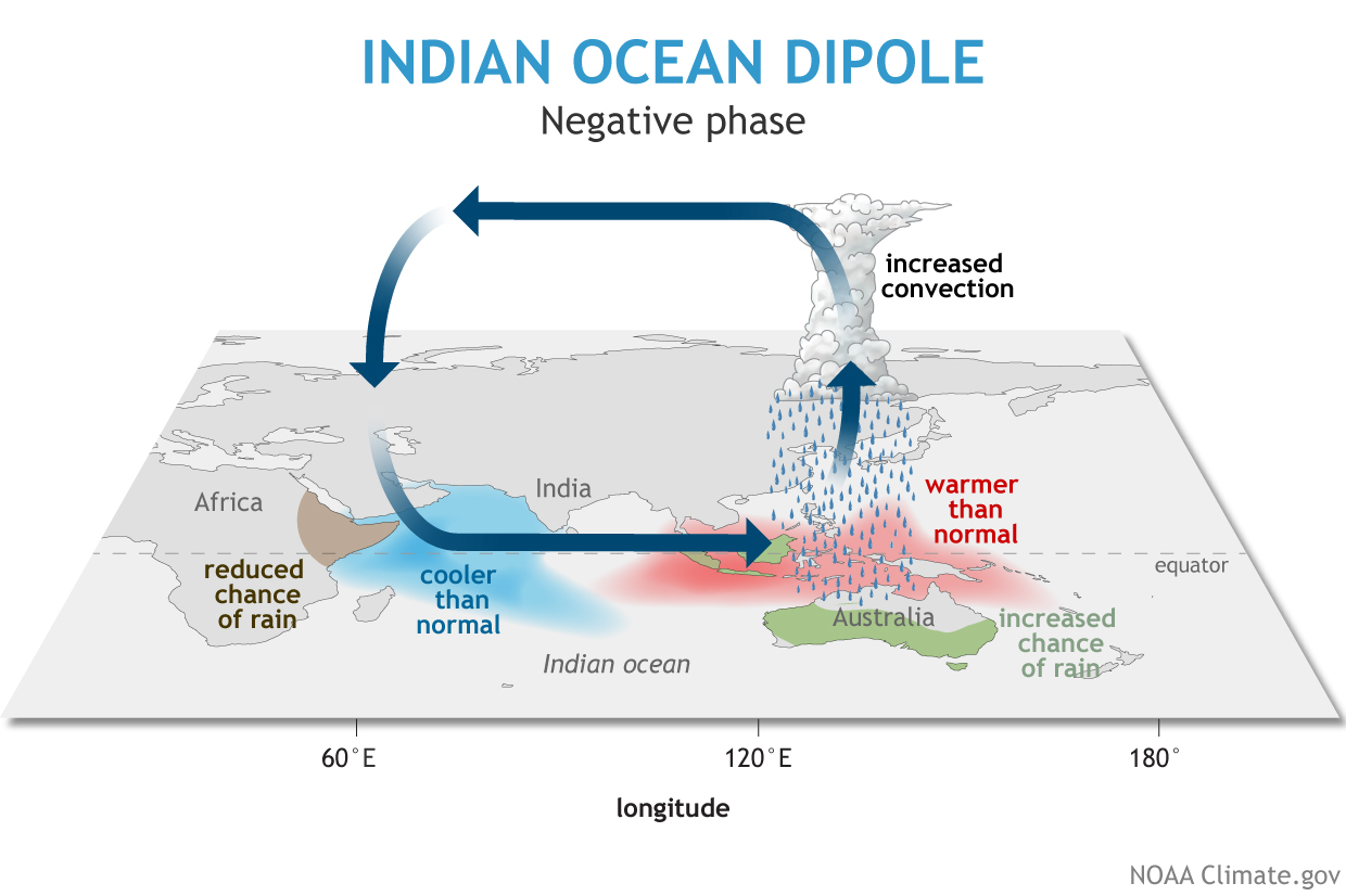 Negative IOD