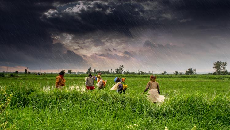 एल निनो – ला निनाचा भारतीय हवामानावर परिणाम: बातम्यांपलीकडचे सत्य